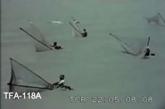 Prawn fishing in Singapore waters using the Malay push net [called the Sondong].